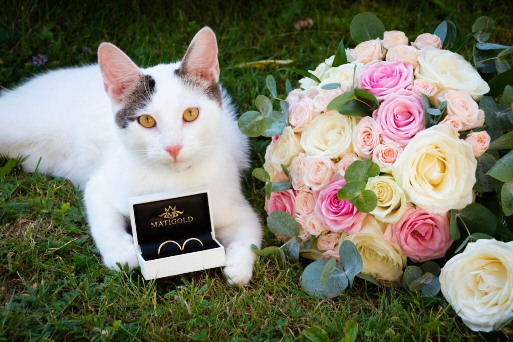 pulmapäeva täispäeva jäädvustamine pulmapäeva täispäeva jäädvustamine