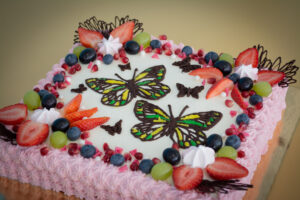 Sünnipäeva fotograaf RK Assist OÜ