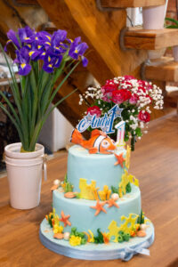 Sünnipäeva fotograaf RK Assist OÜ