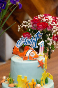 Sünnipäeva fotograaf RK Assist OÜ