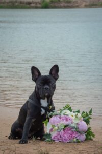 Pulmafotograaf RK Assist OÜ